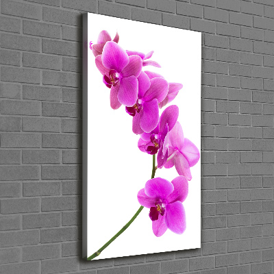 Tableau mural sur toile Orchidée rose fleur