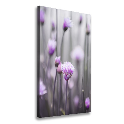 Tableau mural sur toile Fleurs de ciboulette