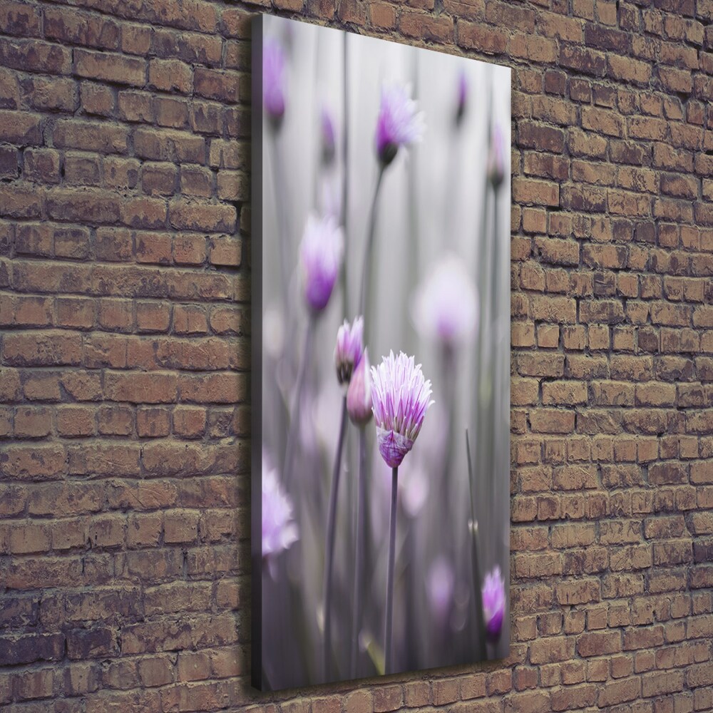 Tableau mural sur toile Fleurs de ciboulette