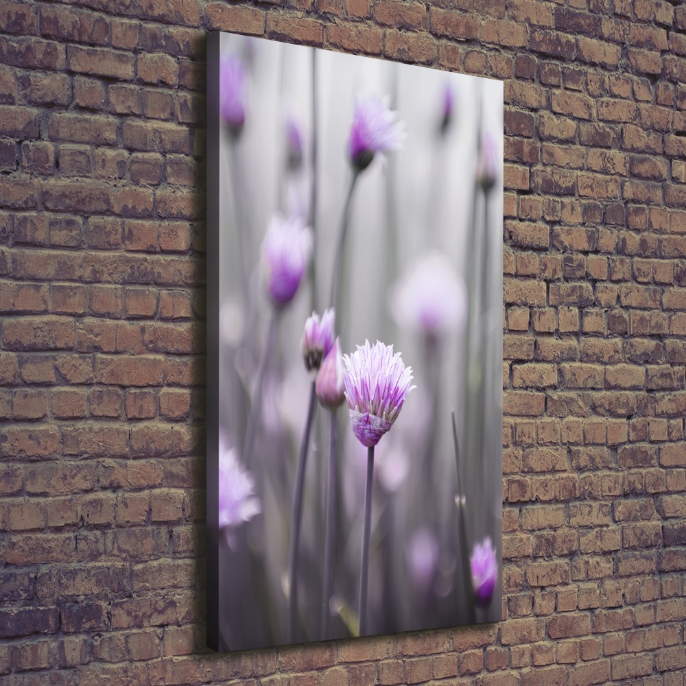 Tableau mural sur toile Fleurs de ciboulette