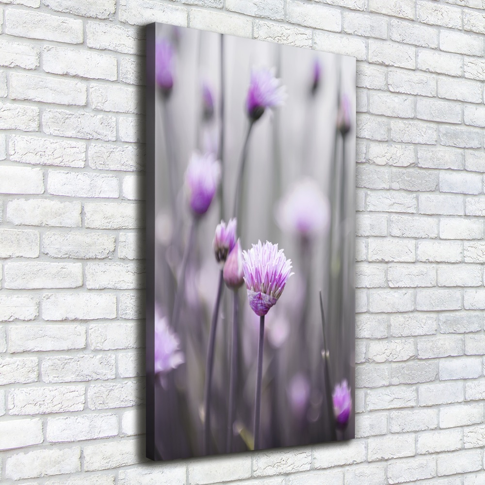 Tableau mural sur toile Fleurs de ciboulette