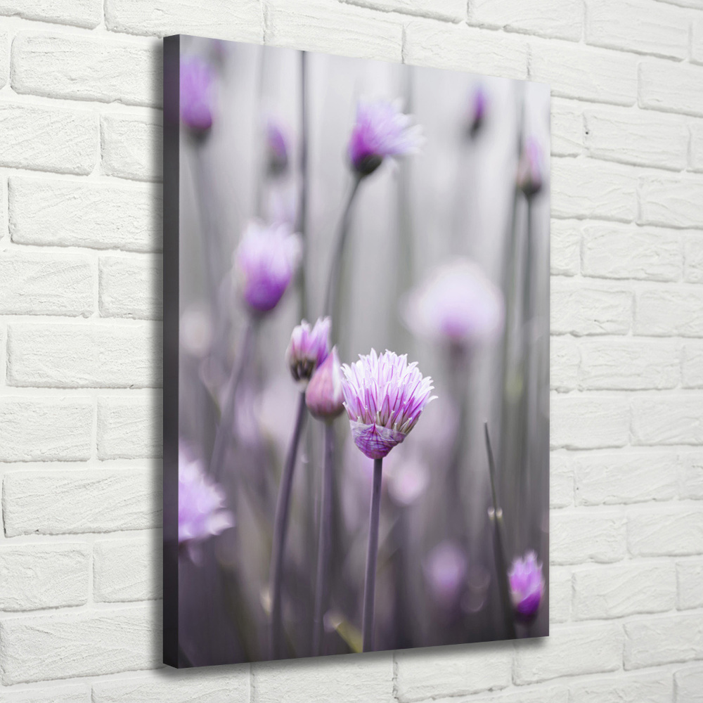 Tableau mural sur toile Fleurs de ciboulette