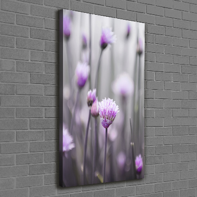 Tableau mural sur toile Fleurs de ciboulette