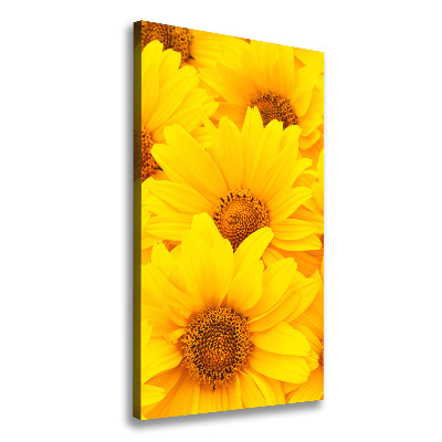 Tableau photo sur toile Tournesol