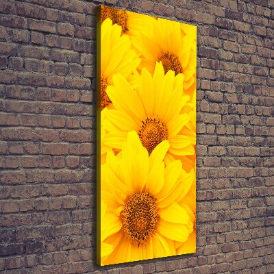 Tableau photo sur toile Tournesol