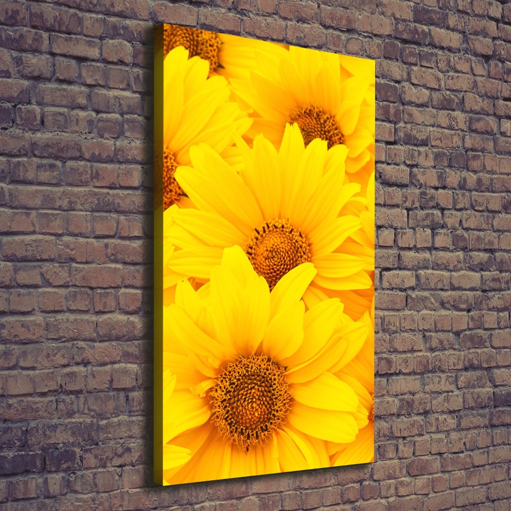 Tableau photo sur toile Tournesol