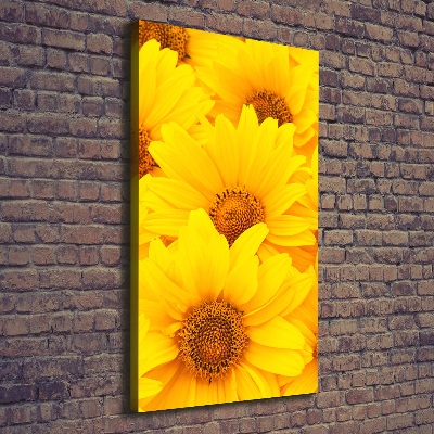 Tableau photo sur toile Tournesol