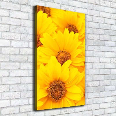 Tableau photo sur toile Tournesol