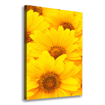 Tableau photo sur toile Tournesol