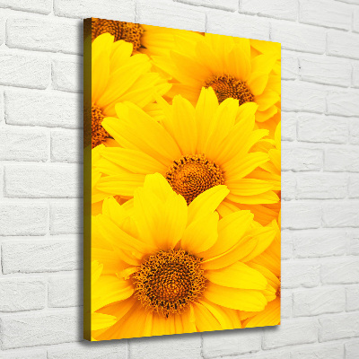 Tableau photo sur toile Tournesol