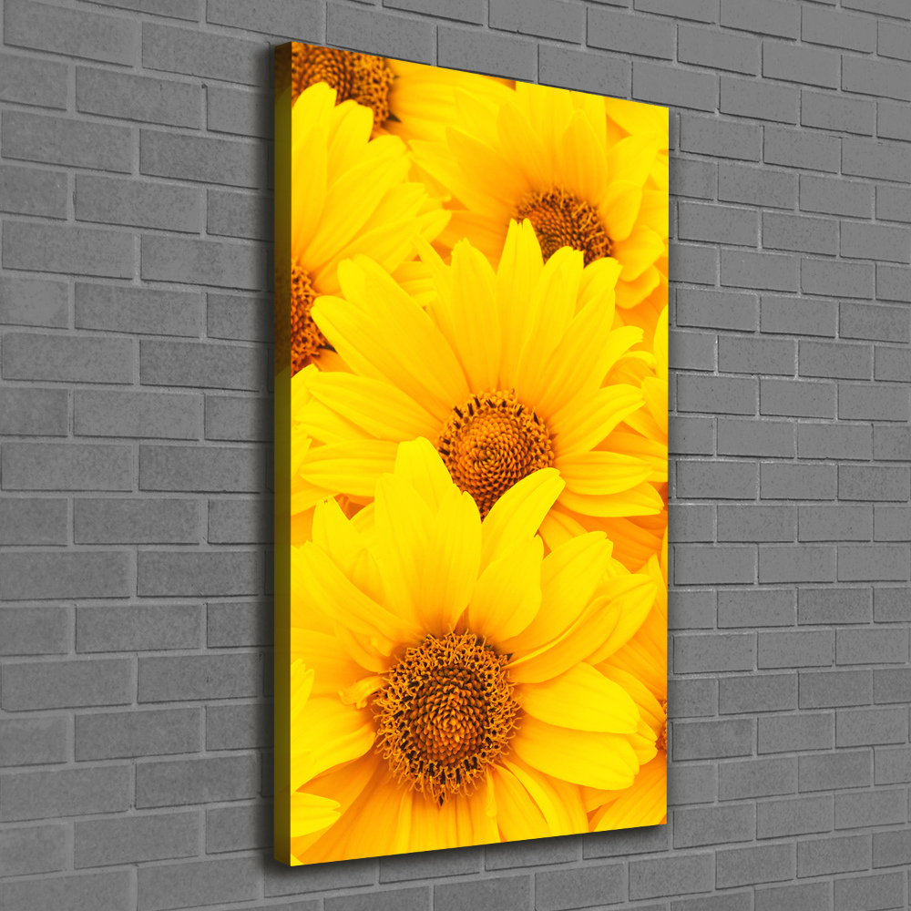 Tableau photo sur toile Tournesol