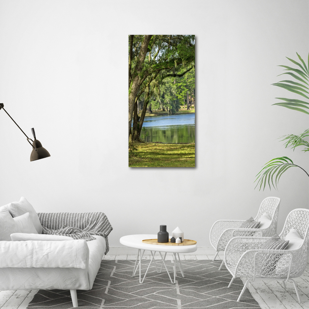 Tableau mural sur toile Lac dans le parc