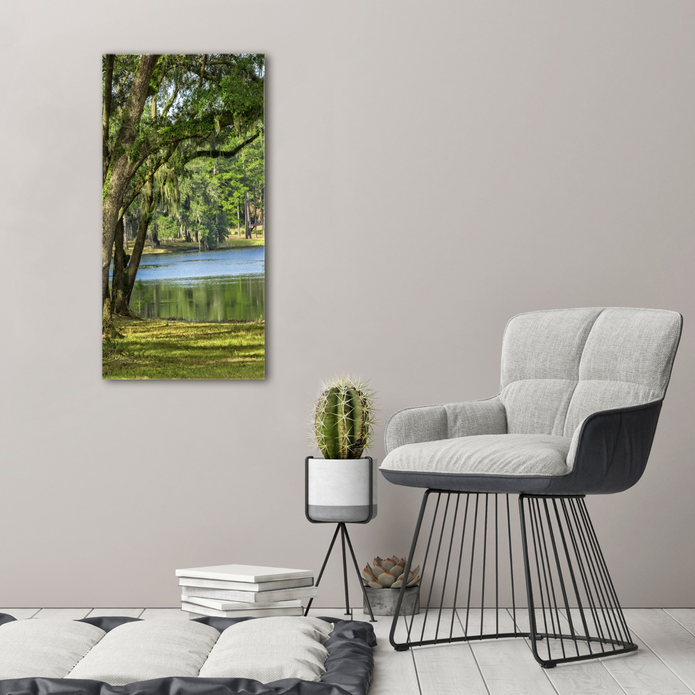 Tableau mural sur toile Lac dans le parc