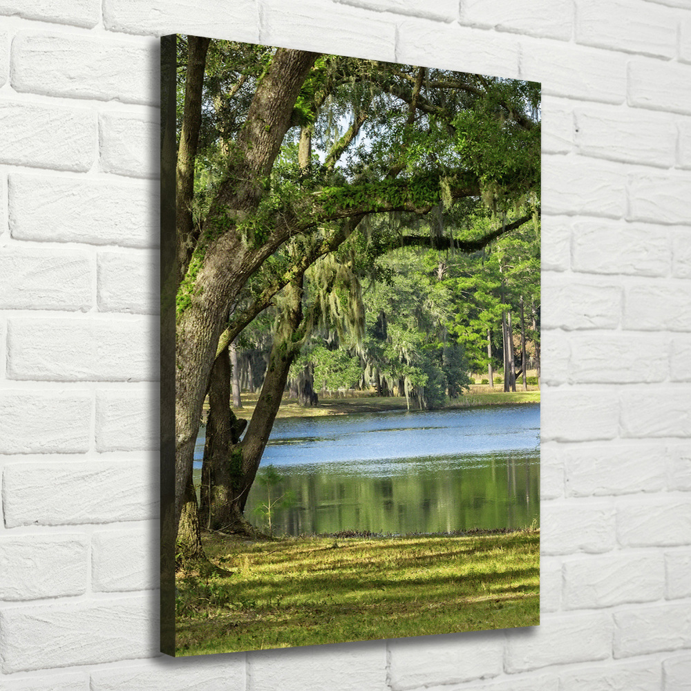 Tableau mural sur toile Lac dans le parc