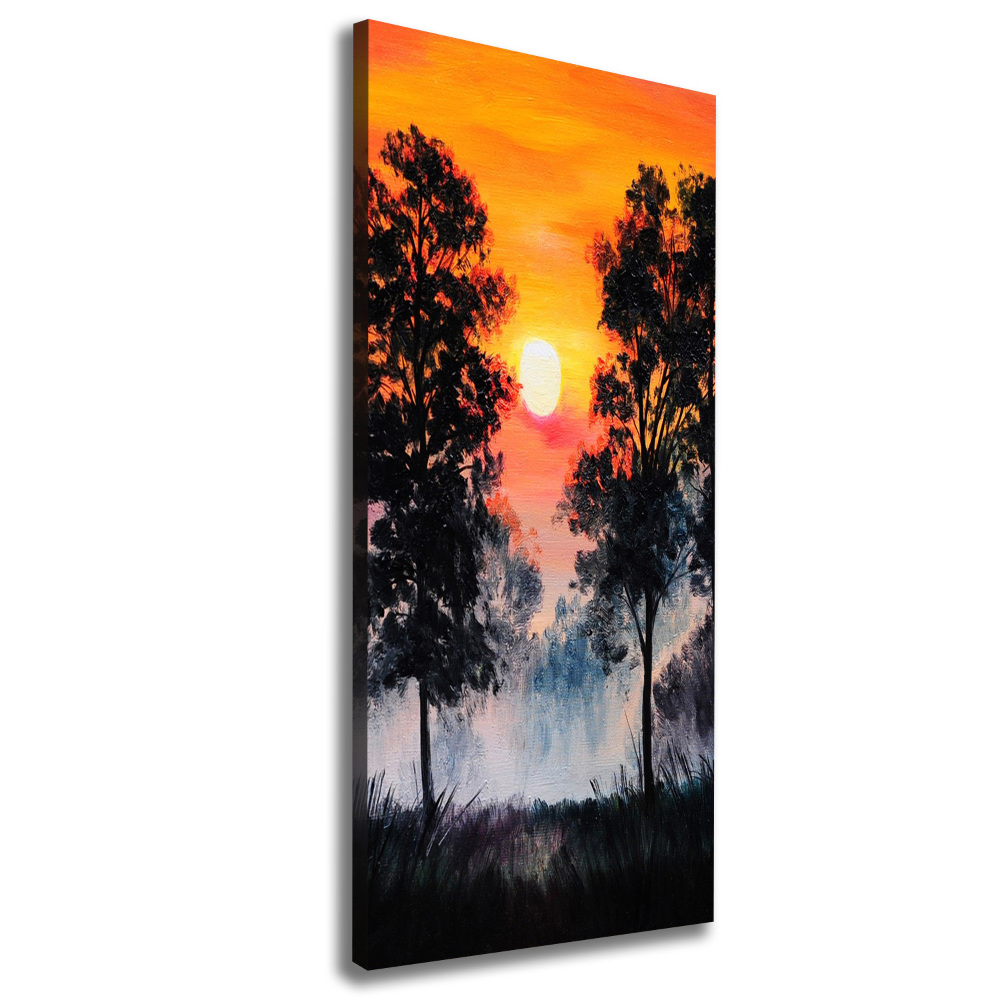 Tableau photo sur toile Forêt au coucher du soleil