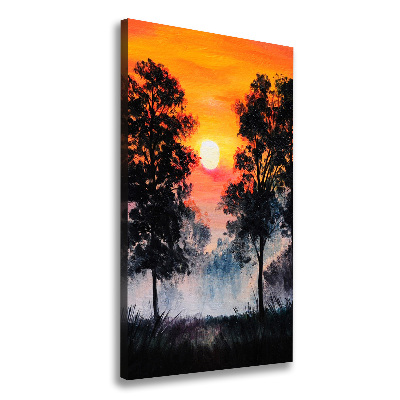 Tableau photo sur toile Forêt au coucher du soleil