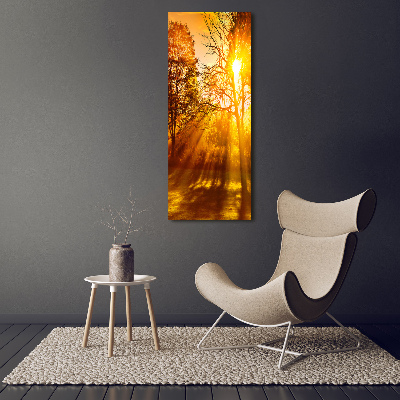 Tableau photo sur toile Parc en automne