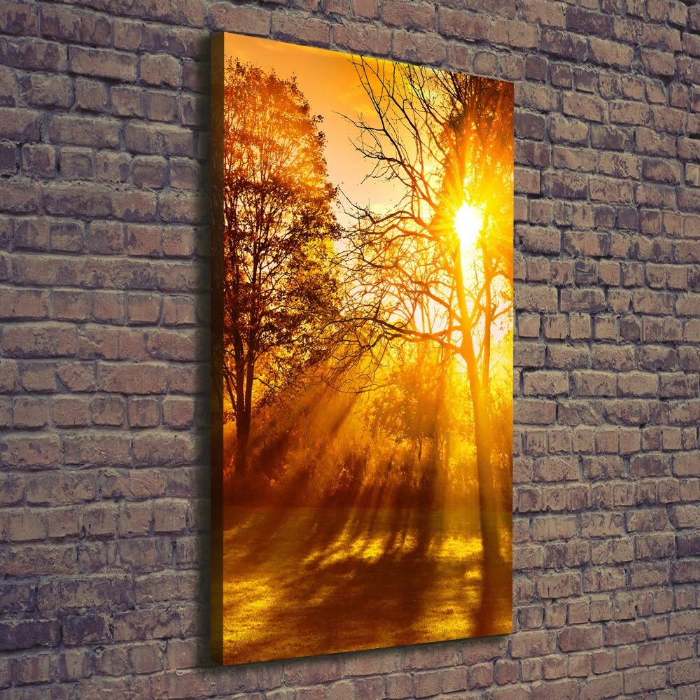 Tableau photo sur toile Parc en automne