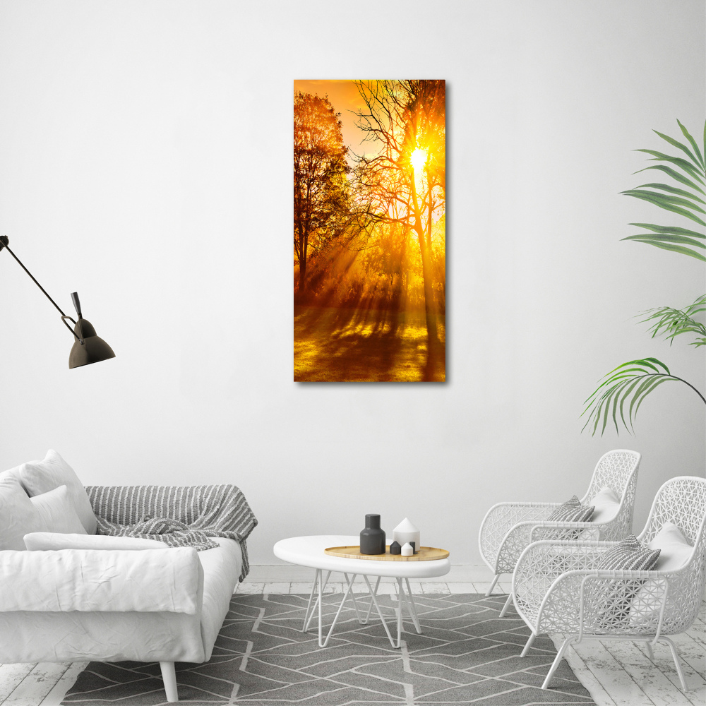 Tableau photo sur toile Parc en automne