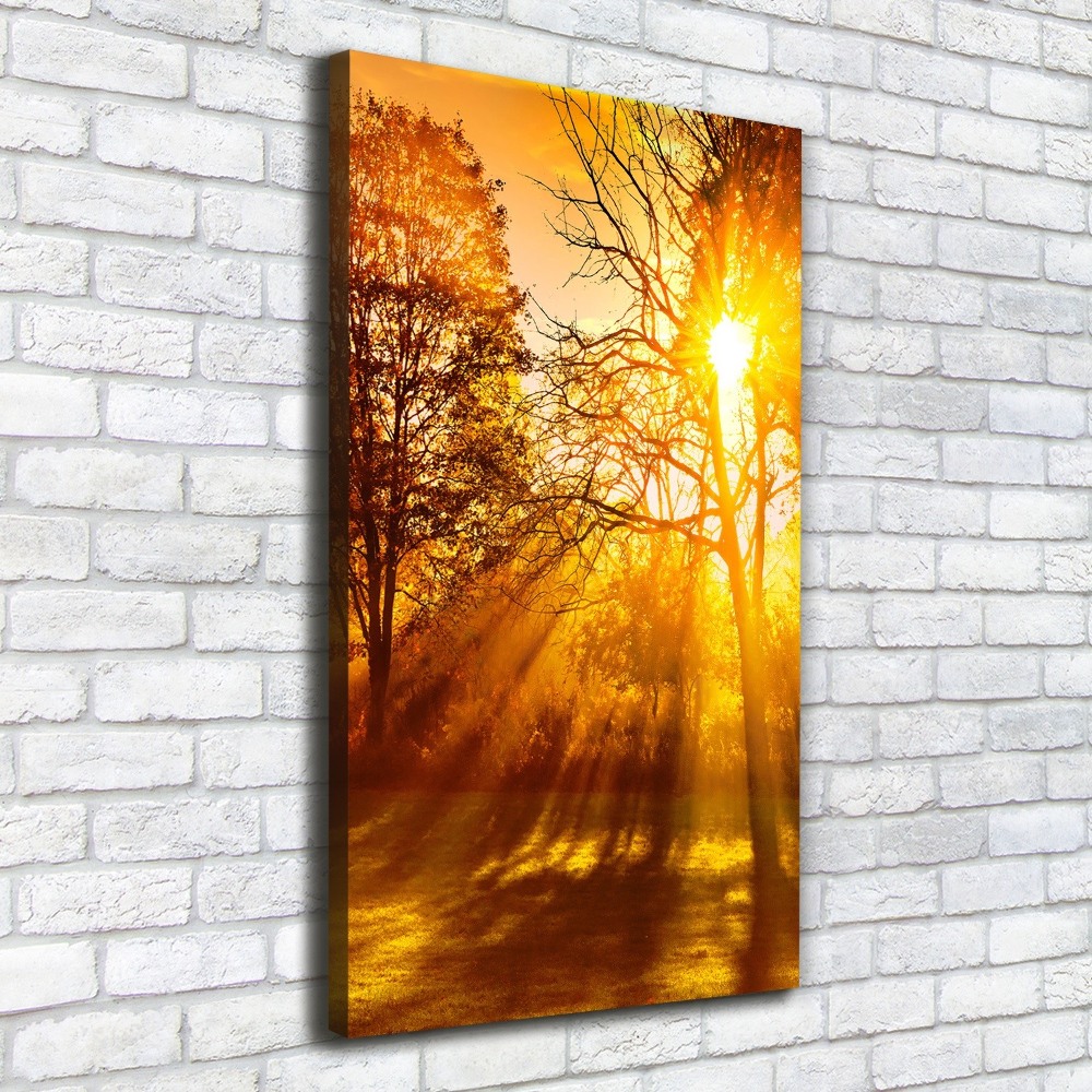 Tableau photo sur toile Parc en automne