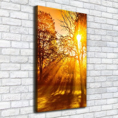 Tableau photo sur toile Parc en automne