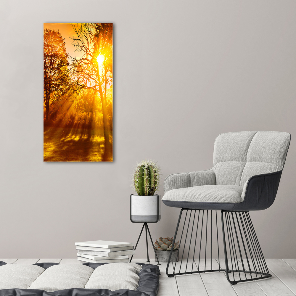 Tableau photo sur toile Parc en automne