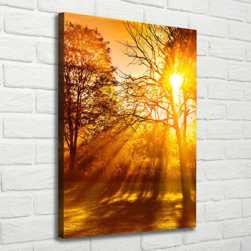 Tableau photo sur toile Parc en automne