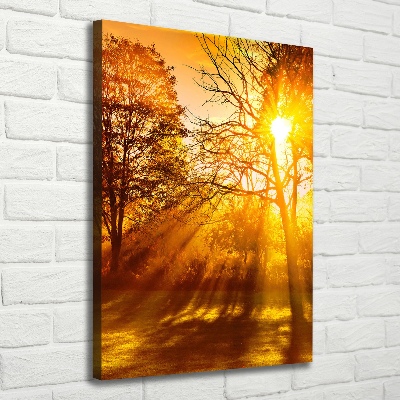 Tableau photo sur toile Parc en automne