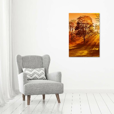 Tableau photo sur toile Parc en automne