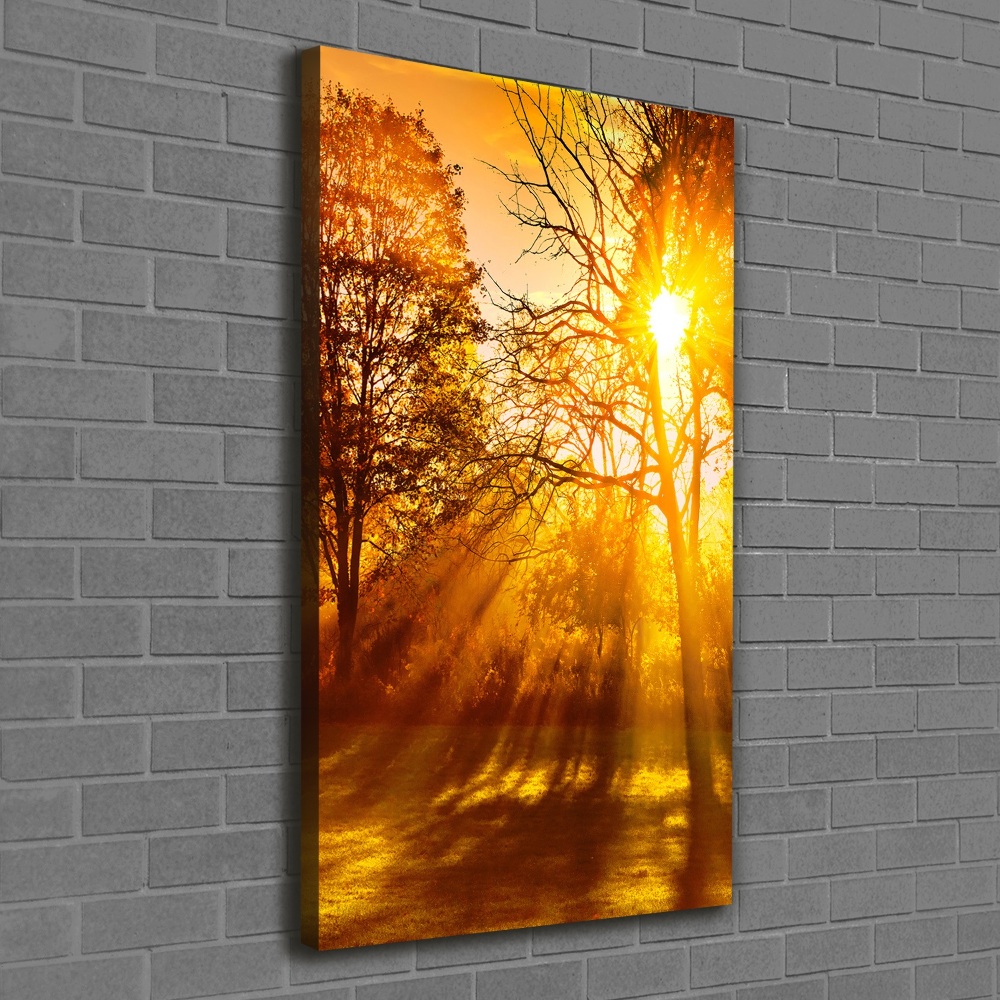 Tableau photo sur toile Parc en automne