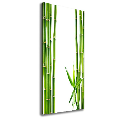 Tableau imprimé sur toile Bamboo