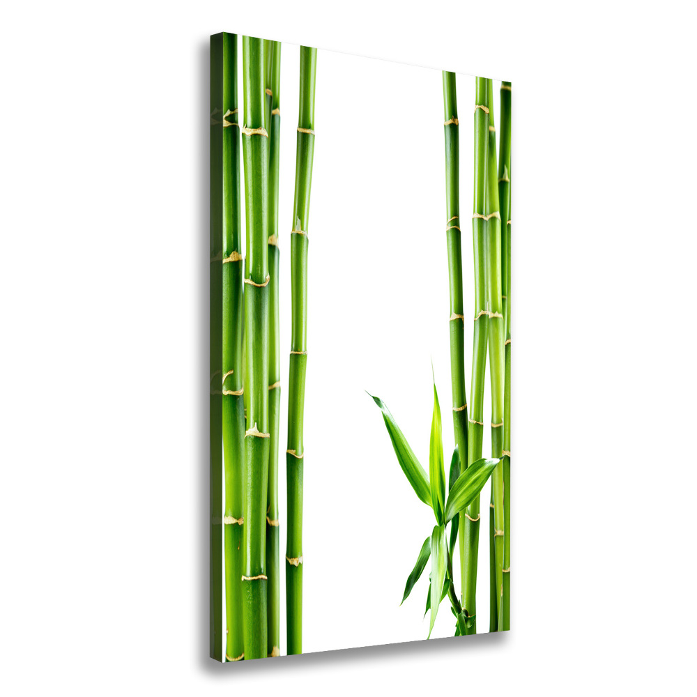 Tableau imprimé sur toile Bamboo