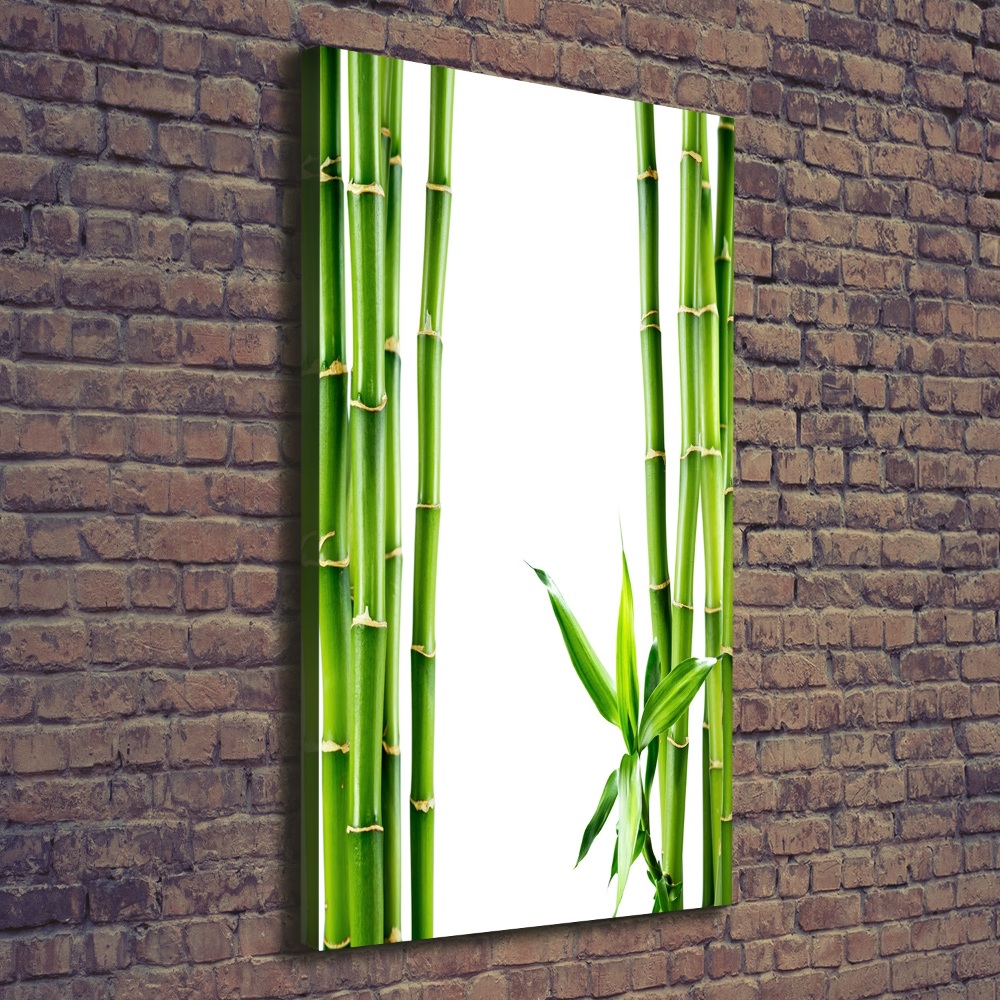 Tableau imprimé sur toile Bamboo