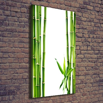 Tableau imprimé sur toile Bamboo