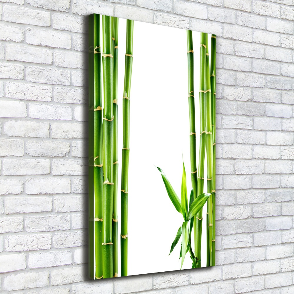 Tableau imprimé sur toile Bamboo