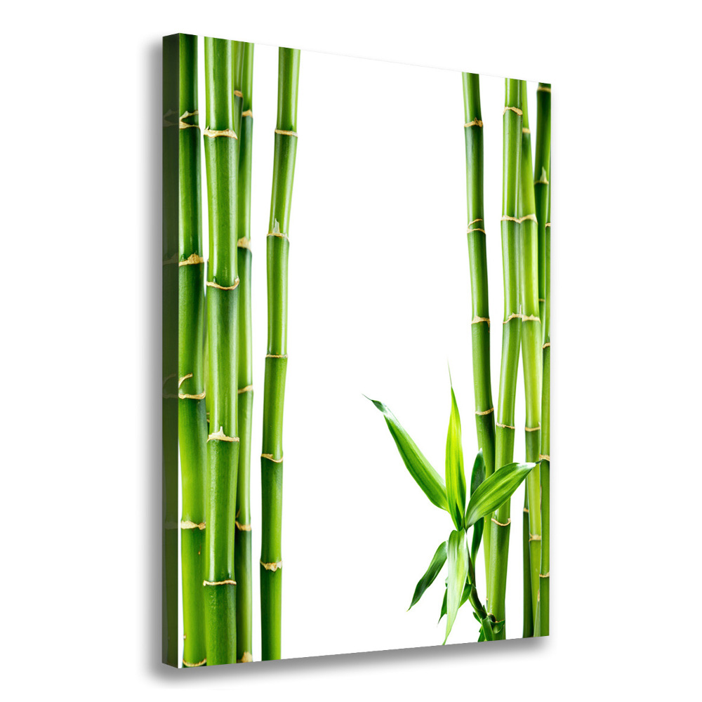 Tableau imprimé sur toile Bamboo