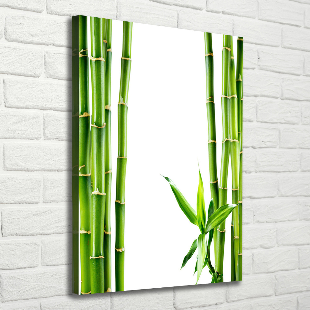 Tableau imprimé sur toile Bamboo