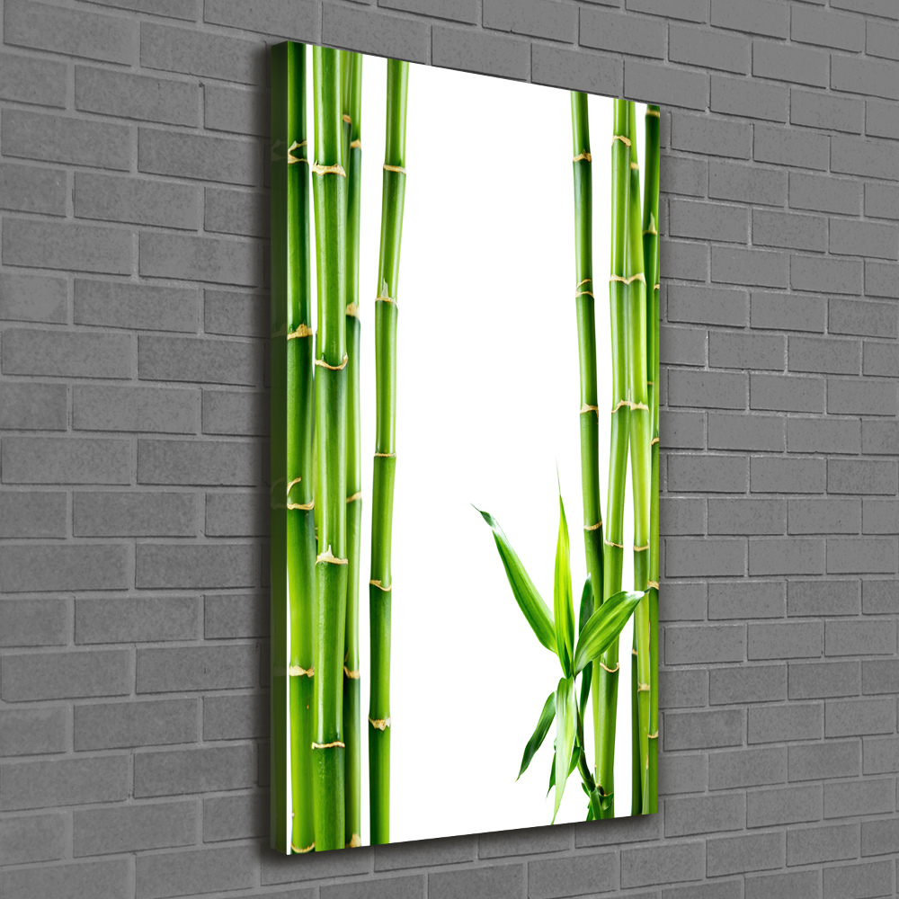 Tableau imprimé sur toile Bamboo