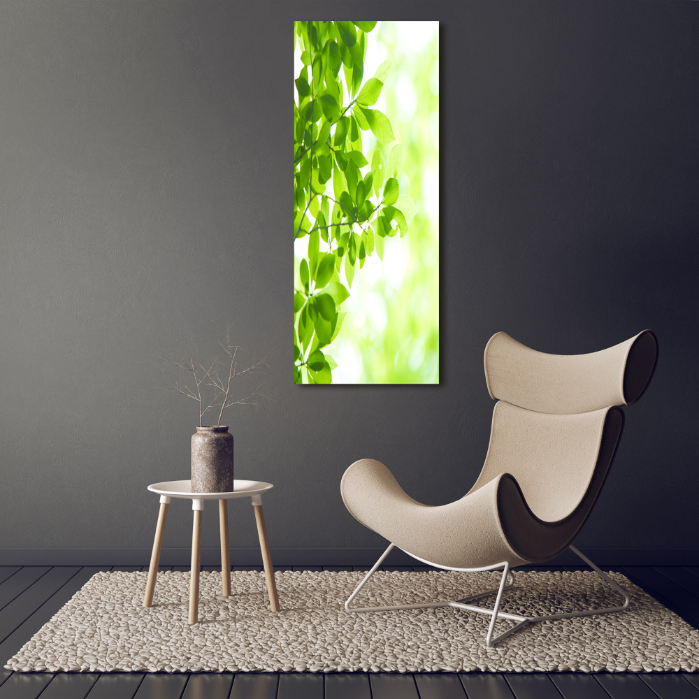 Tableau photo sur toile Feuilles vertes