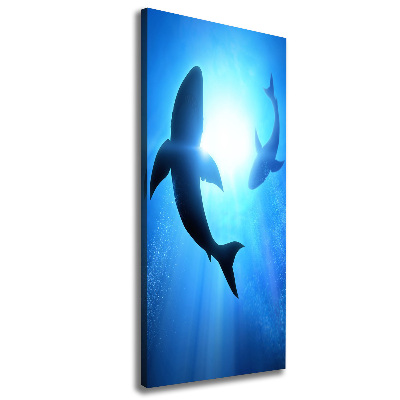 Tableau mural sur toile Silhouettes de requins