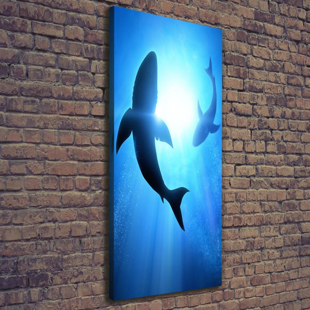 Tableau mural sur toile Silhouettes de requins