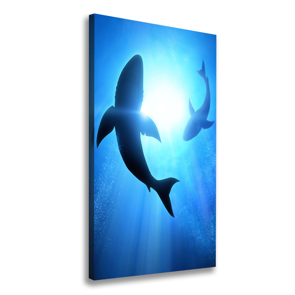 Tableau mural sur toile Silhouettes de requins