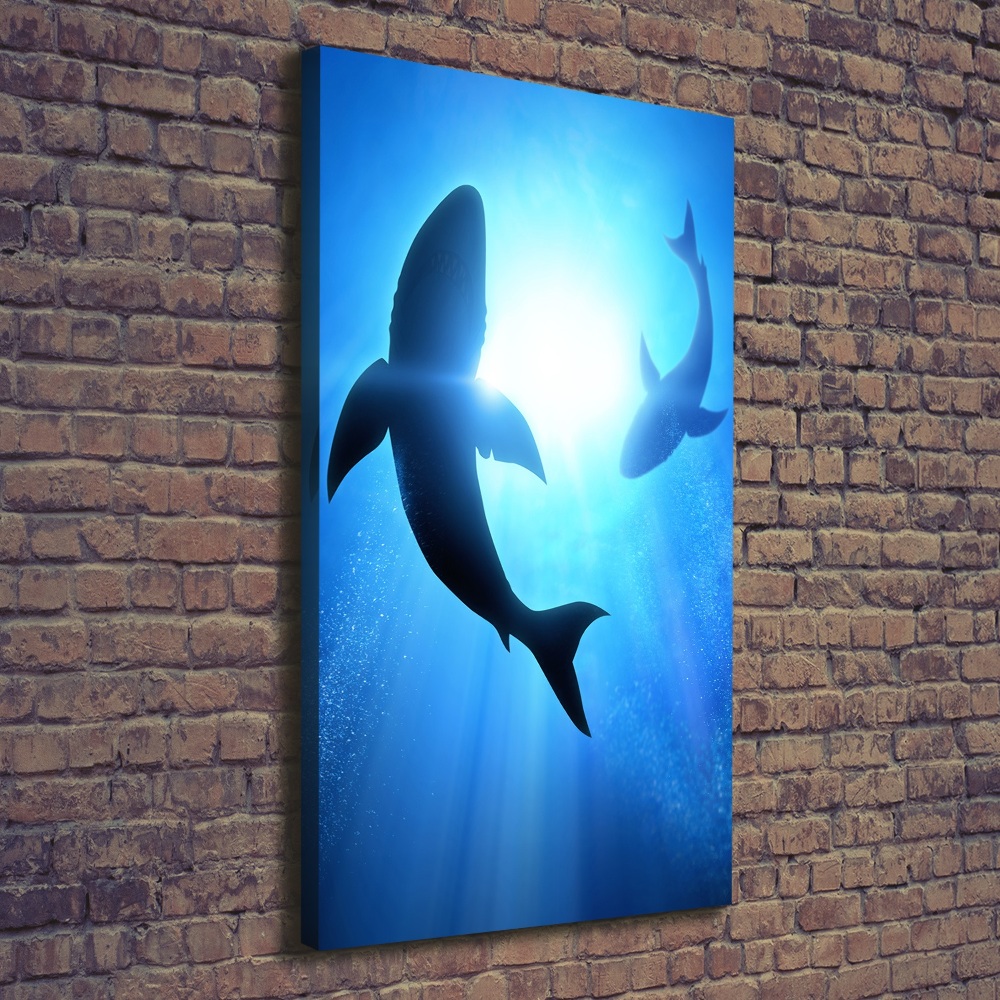 Tableau mural sur toile Silhouettes de requins