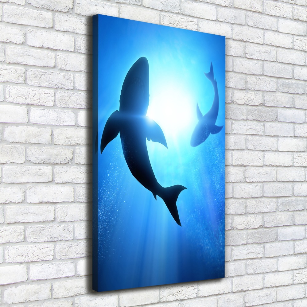 Tableau mural sur toile Silhouettes de requins