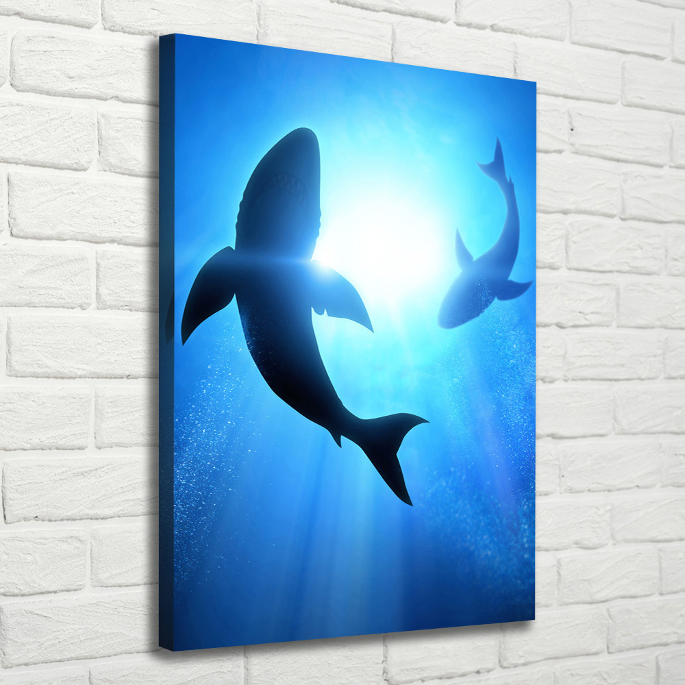 Tableau mural sur toile Silhouettes de requins