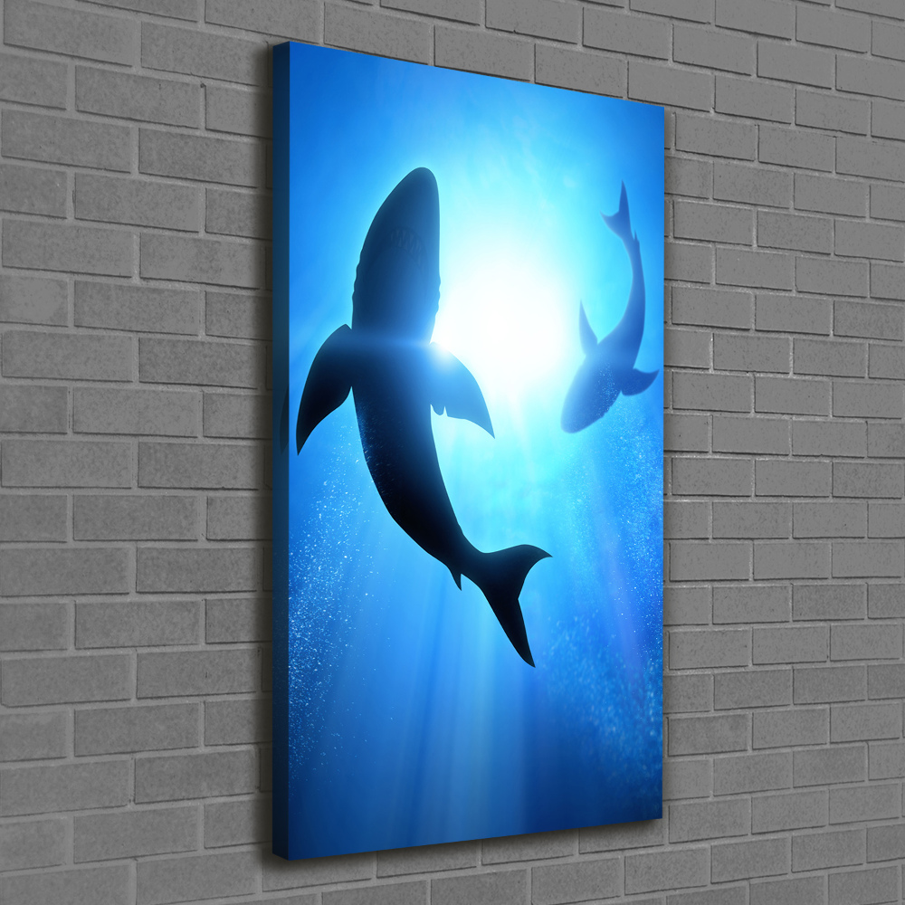 Tableau mural sur toile Silhouettes de requins