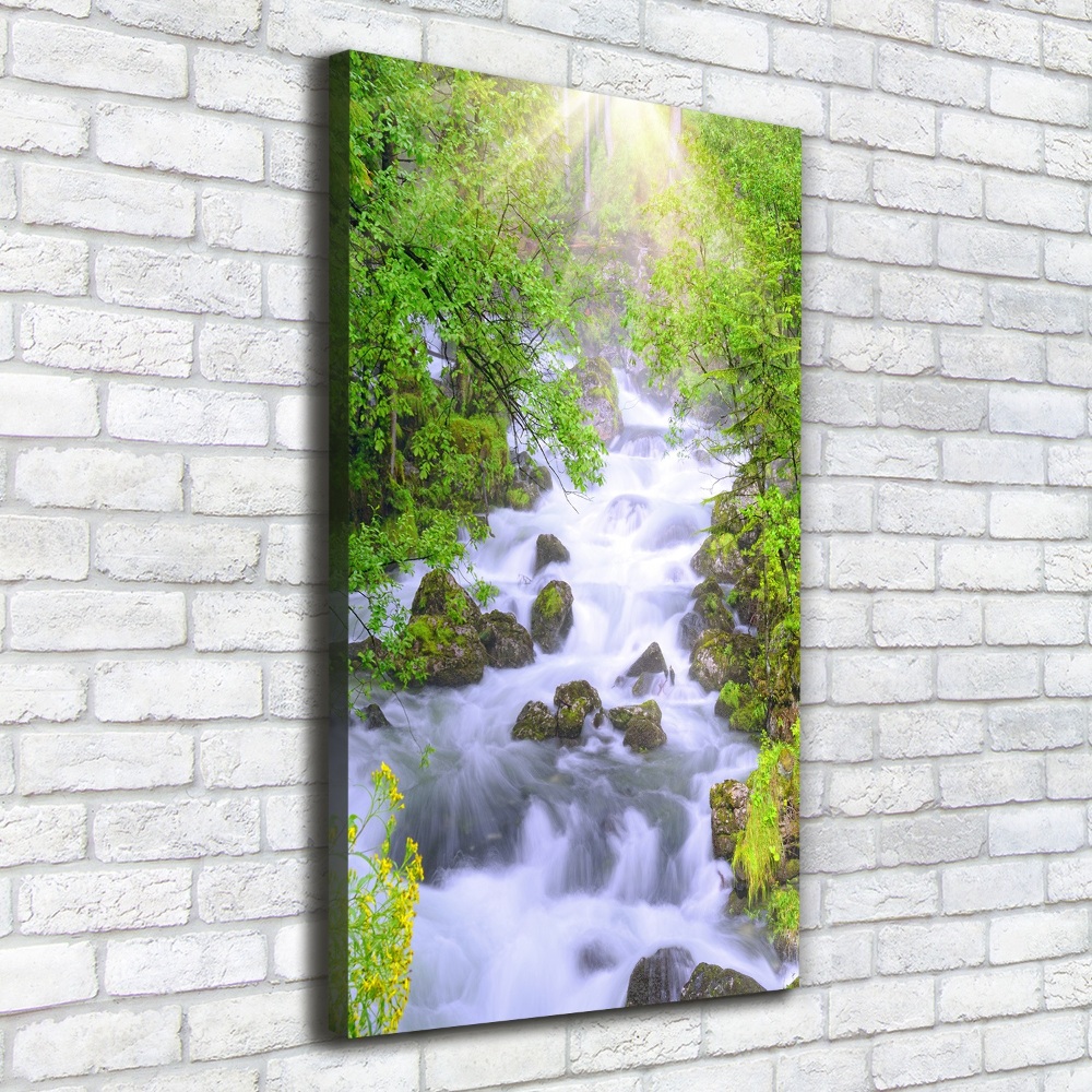 Tableau sur toile Ruisseau de montagne