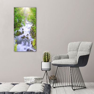 Tableau sur toile Ruisseau de montagne