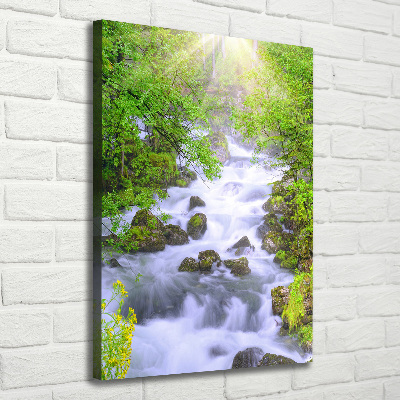 Tableau sur toile Ruisseau de montagne