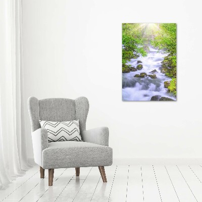 Tableau sur toile Ruisseau de montagne